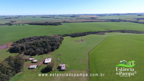 VAI DA BR PARA A FAZENDA.00_02_29_01.Quadro025_7950b252836f1d686462a1f169d01f8bc44bc04e.jpg